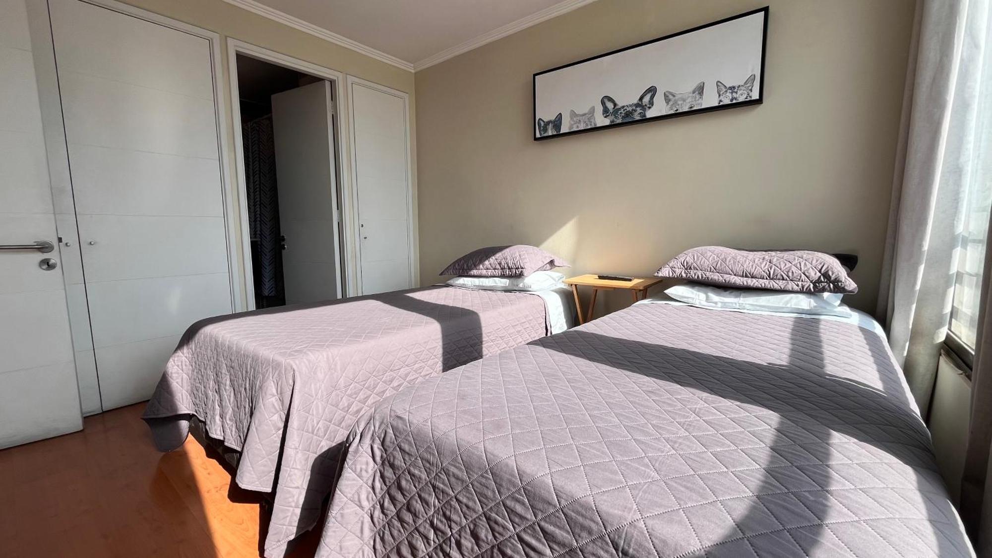 Apartamentos City Centro Manuel Montt Santiago de Chile Zewnętrze zdjęcie